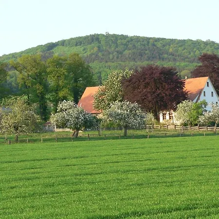 Ferienwohnung An Der Obstwiese Apartment Borgholzhausen