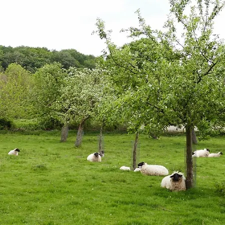 Apartment Ferienwohnung An Der Obstwiese